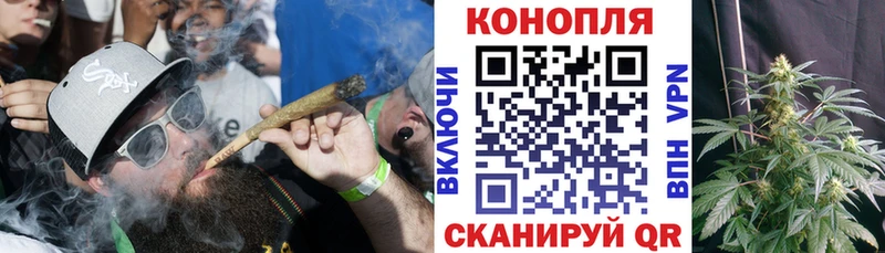 Бошки марихуана THC 21%  продажа наркотиков  Абинск 